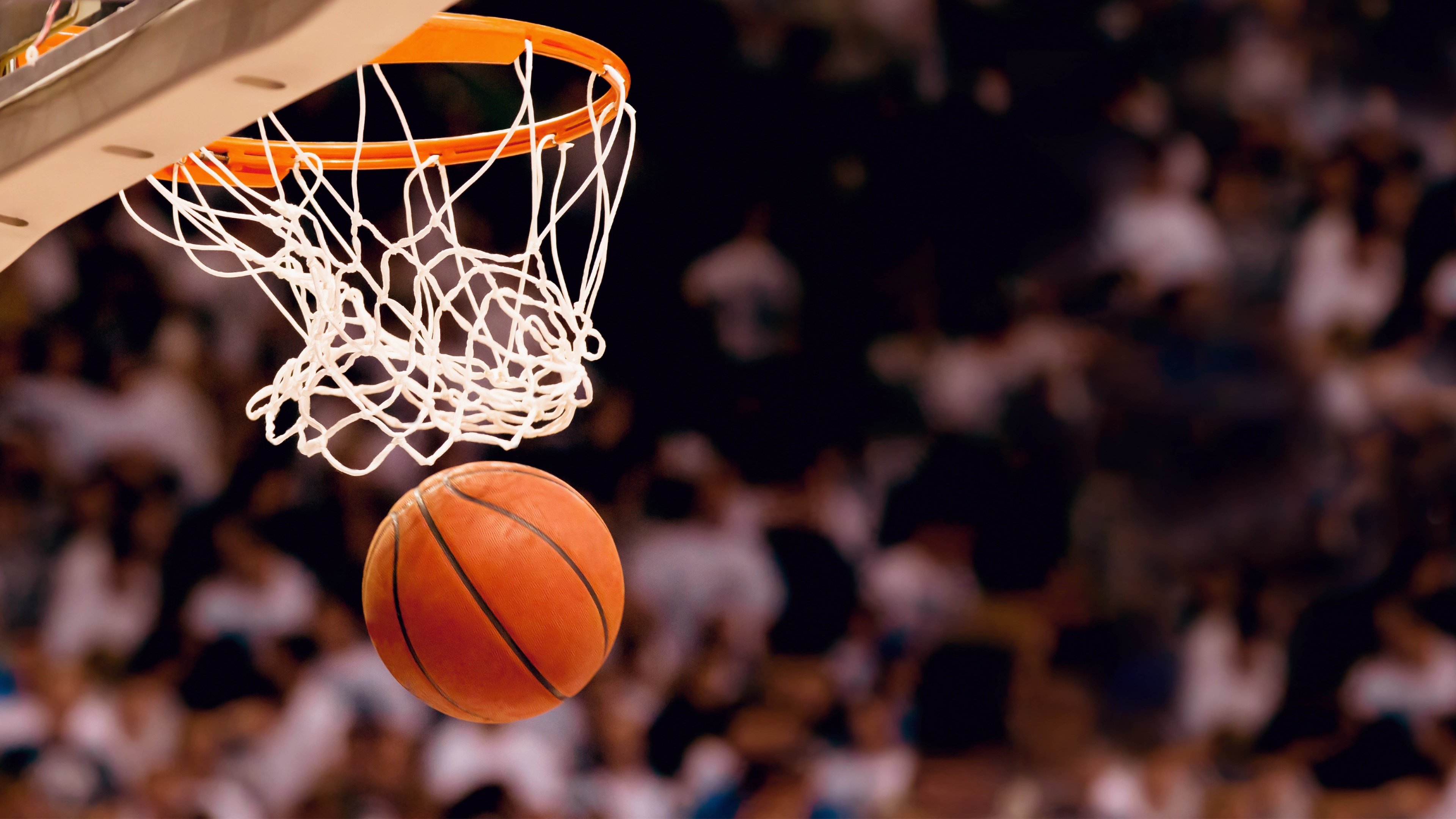 开云-金手套扼杀桑巴舞步，莱比锡门将铸就零封维尼修斯之夜，金手套之夜，莱比锡门将零封维尼修斯